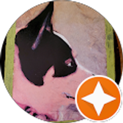 Profile photo of Mary Lou