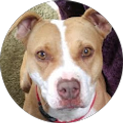 Profile photo of Eiya Wolfe