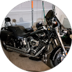 Profile photo of T L