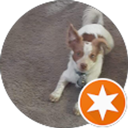 Profile photo of Kenda Jones