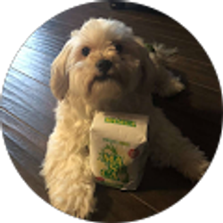 Profile photo of Alex Ramirez