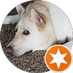 Profile photo of Patrick ORiordan