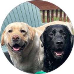 Profile photo of Nikki D