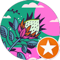 Profile photo of Beth Mathews