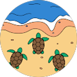 Profile photo of Dana Scarbrough