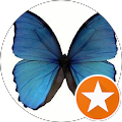 Profile photo of Vanessa Anchondo