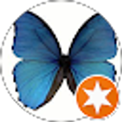 Profile photo of Vanessa Anchondo