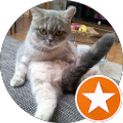 Profile photo of Nick Woolley