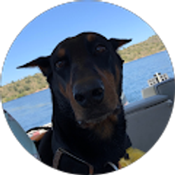 Profile photo of Bryan