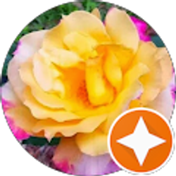 Profile photo of Dpend