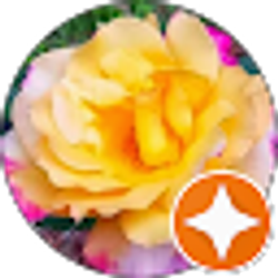 Profile photo of Dpend