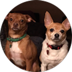 Profile photo of Leah D