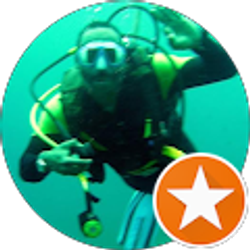 Profile photo of Reggie Taylor