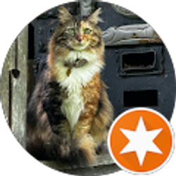 Profile photo of Amy Wolf