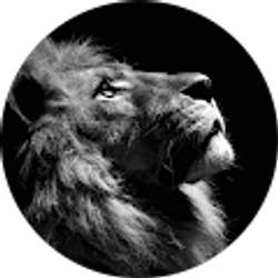 Profile photo of Michael Dunn