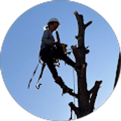 Profile photo of Christi Sorrell