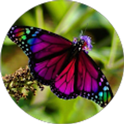 Profile photo of Ritia Gibson