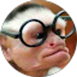 Profile photo of Heidi Zimmer-Koschnick