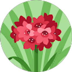 Profile photo of Angel Davis