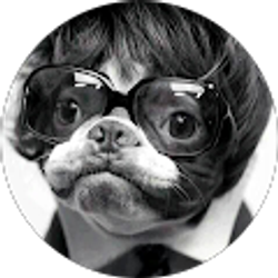 Profile photo of dana samples