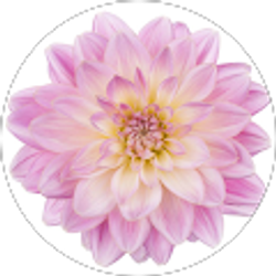 Profile photo of Margaret Bruesewitz