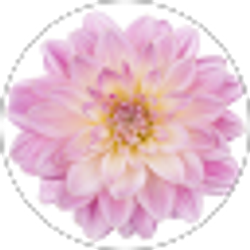 Profile photo of Margaret Bruesewitz