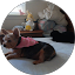 Profile photo of Brenda Ford