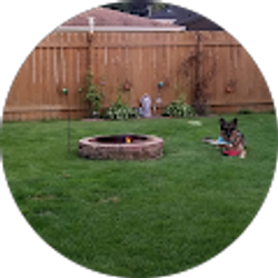 Profile photo of Joy Ladd