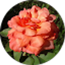 Profile photo of Cristina Padilla