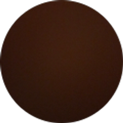 Profile photo of Anthony