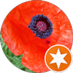 Profile photo of Shelly