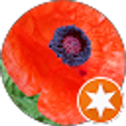 Profile photo of Shelly