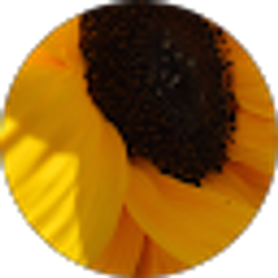 Profile photo of Emily F