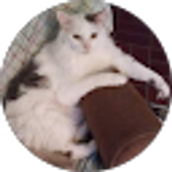 Profile photo of Lin Fowler