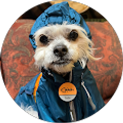 Profile photo of Athena Bartholomew