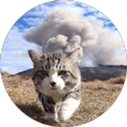 Profile photo of David Adkins