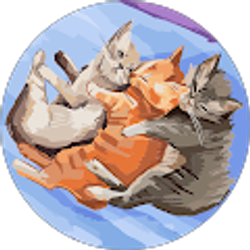 Profile photo of madlin Al Sibrani