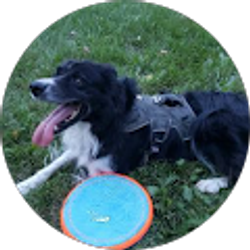 Profile photo of Michael Stangel