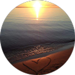 Profile photo of Cyndi Staller