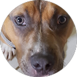 Profile photo of Jenny K