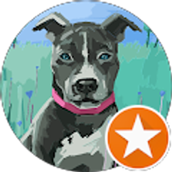 Profile photo of Lisa McGee