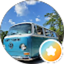 Profile photo of Southern vagabond