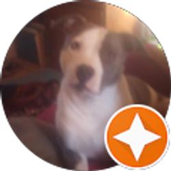 Profile photo of Pitted Soul