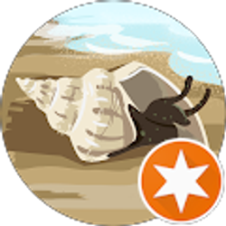 Profile photo of F.Luk