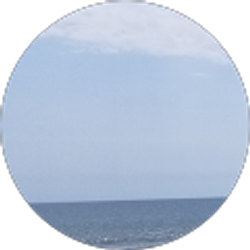 Profile photo of PR Mr. R