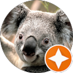 Profile photo of Tammy