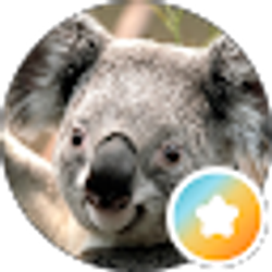 Profile photo of Tammy