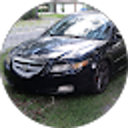 Profile photo of Ricardo Ulloa