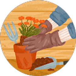 Profile photo of Jasmine Ren