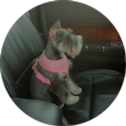 Profile photo of Lori Magnifico